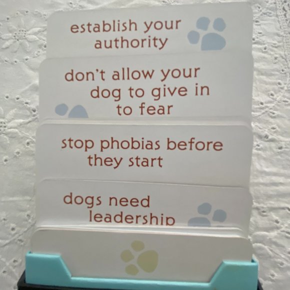 CESAR MILLAN - Picture 2 of 5